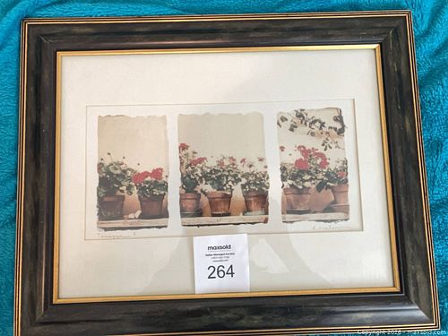 Lot #264 (1 of 10)