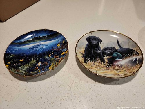 Pair of collector plates (1 of 5)