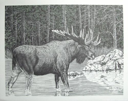 Lot #151 (1 of 5)