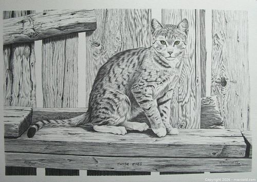 Lot #147 (1 of 5)