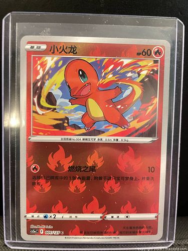 Lot #43 (1 of 6)
