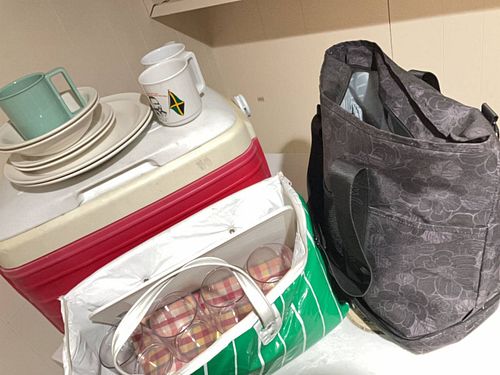 Picnic and Cooler lot. B (1 of 9)