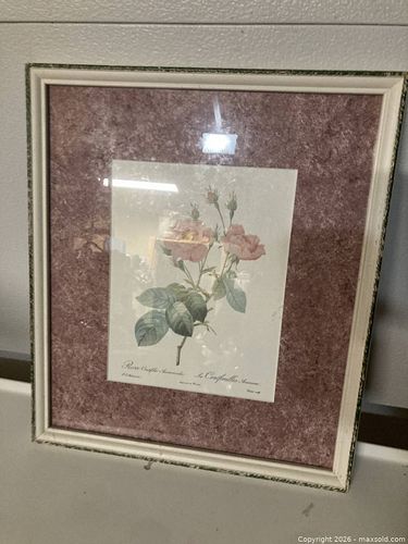 Lot #25 (1 of 3)