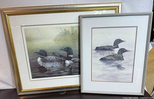 Loon Prints (1 of 13)