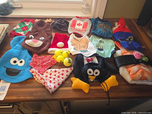 Dog Clothes and Costumes (1 of 4)