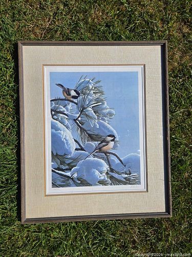 Lot #42 (1 of 15)