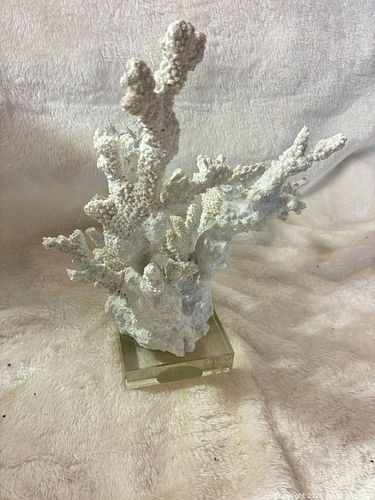 Lot #25 (1 of 5)
