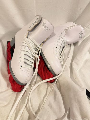 Size 9 skates  (1 of 6)