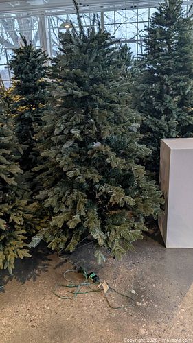 Balsam Hills Christmas Tree  (1 of 3)