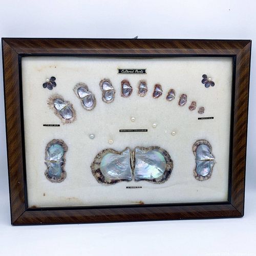 Lot #253 (1 of 9)