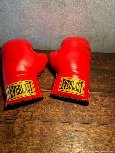 Boxing Gloves (1 of 3)