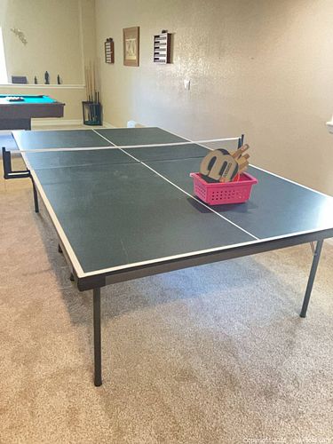 Ping Pong Table (1 of 2)