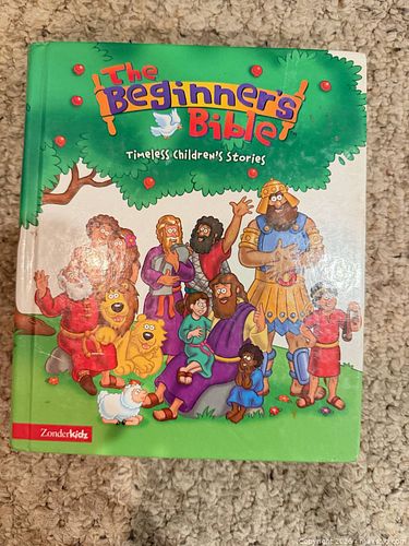 The Beginners Bible  (1 of 3)