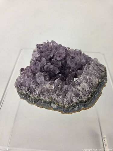 Lot #11 (1 of 9)