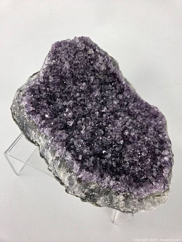 Lot #14 (1 of 10)