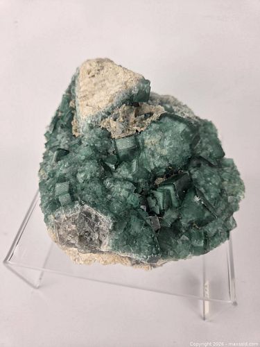Lot #18 (1 of 11)