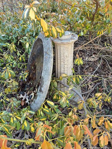 Bird Bath A (1 of 7)