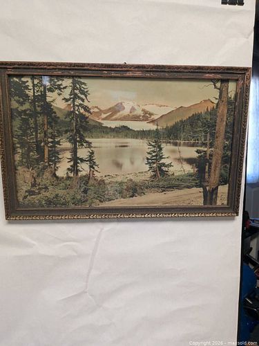 Lot #72 (1 of 7)