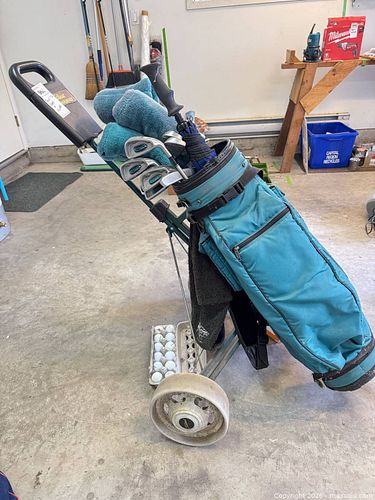 Golf Bag with Cart and 12 Clubs (1 of 13)