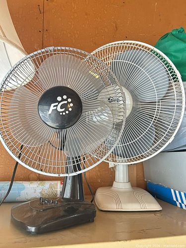 Two Fans  (1 of 4)