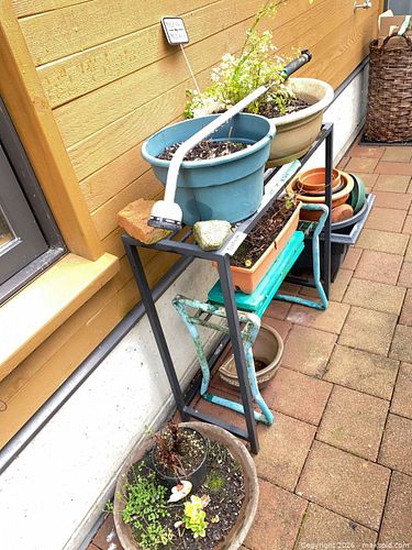 Garden Pots, Shelf & More (1 of 11)