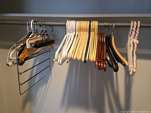 Clothes hangers (1 of 1)