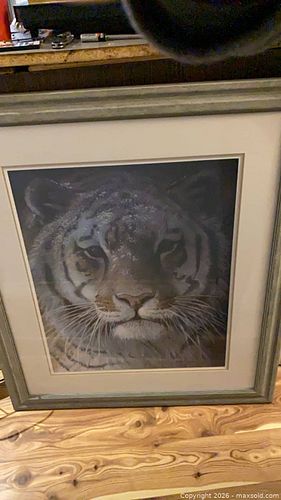 Lot #63 (1 of 5)