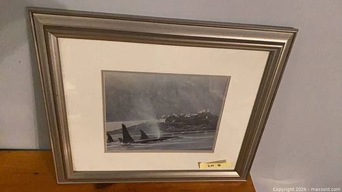 Lot #46 (1 of 5)