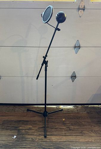 Lot #254 (1 of 13)