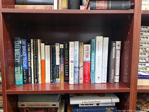 Mixed Paperback & Hardcover Fiction Books - Mystery & Historical  (1 of 4)