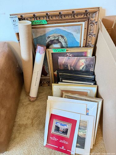 Lot #43 (1 of 20)
