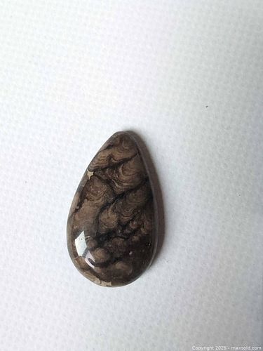 Picture Jasper Teardrop/Pear Cabochon, Polished (1 of 3)