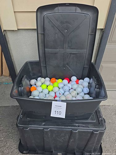 Lot #110 (1 of 4)