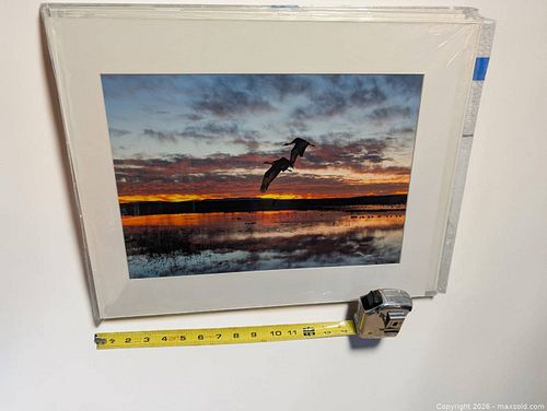 Lot #92 (1 of 2)