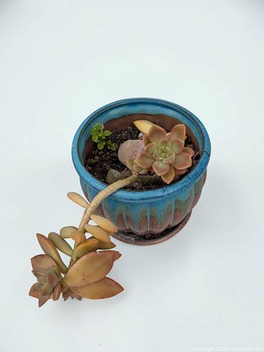 Lot #67 (1 of 1)