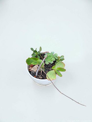 Lot #60 (1 of 1)