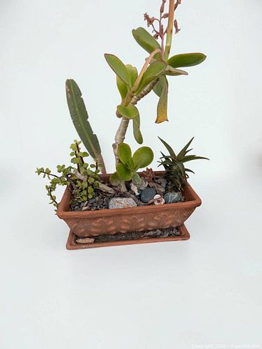 Lot #69 (1 of 1)