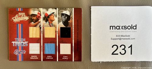 Lot #231 (1 of 2)