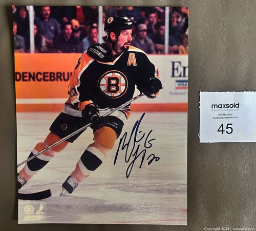 Lot #45 (1 of 2)