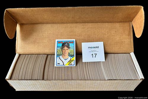 Lot #17 (1 of 2)