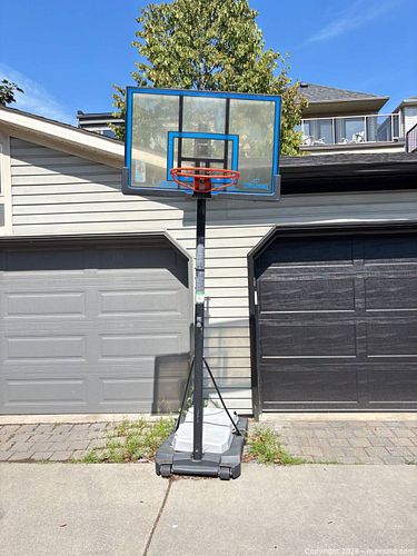 Lot #60 (1 of 6)