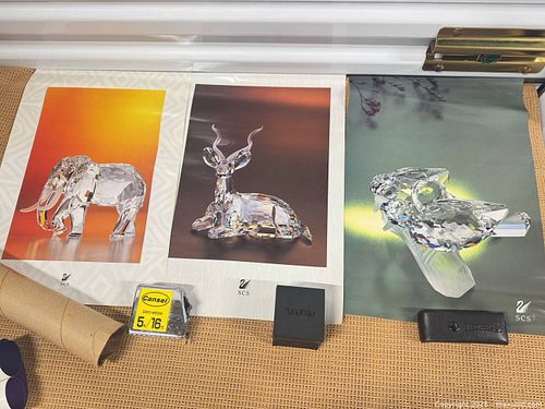 Lot #25 (1 of 6)