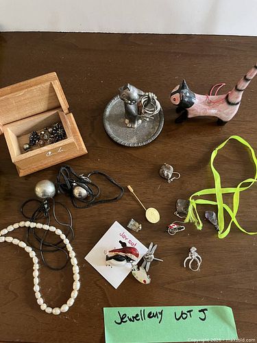 Mixed Costume Jewelry Lot - Necklaces, Earrings, Brooches, Storage Box (1 of 6)