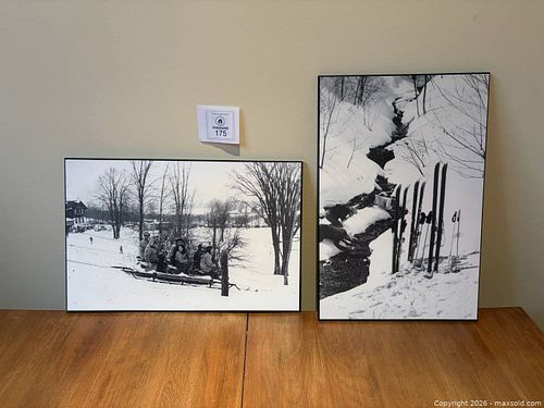 Lot #175 (1 of 17)