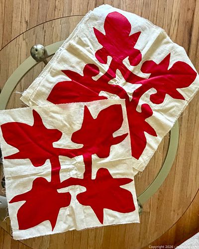 Lot #167 (1 of 14)