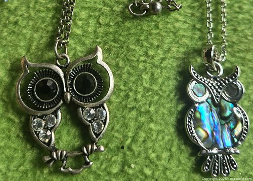 Jewelry.   Two Silver tone owl necklaces. pics of one with 925 on chain.  (1 of 7)