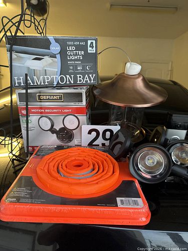 Lot #29 (1 of 7)