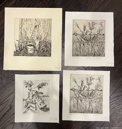Lot #46 (1 of 5)