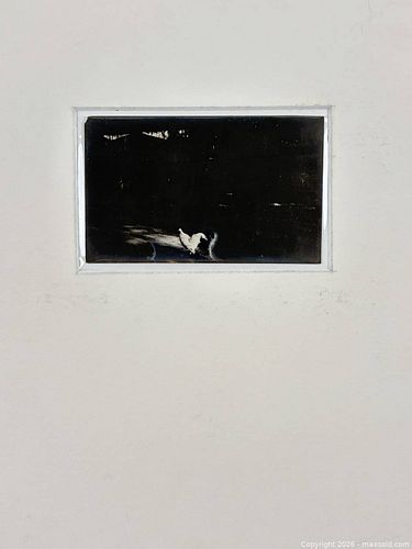 Lot #661 (1 of 3)