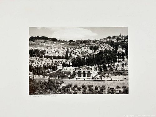Lot #635 (1 of 6)